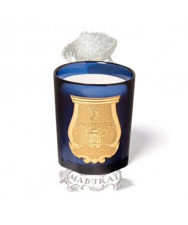 Bougie parfumée Les Belles Matières 270 g - Trudon