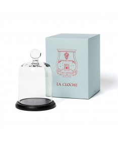 Cloche en verre - Trudon