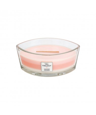 Bougie parfumée Trilogy Ellipse - WoodWick - Evasion paradisiaque