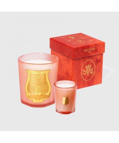 Bougie parfumée Tuileries - Trudon