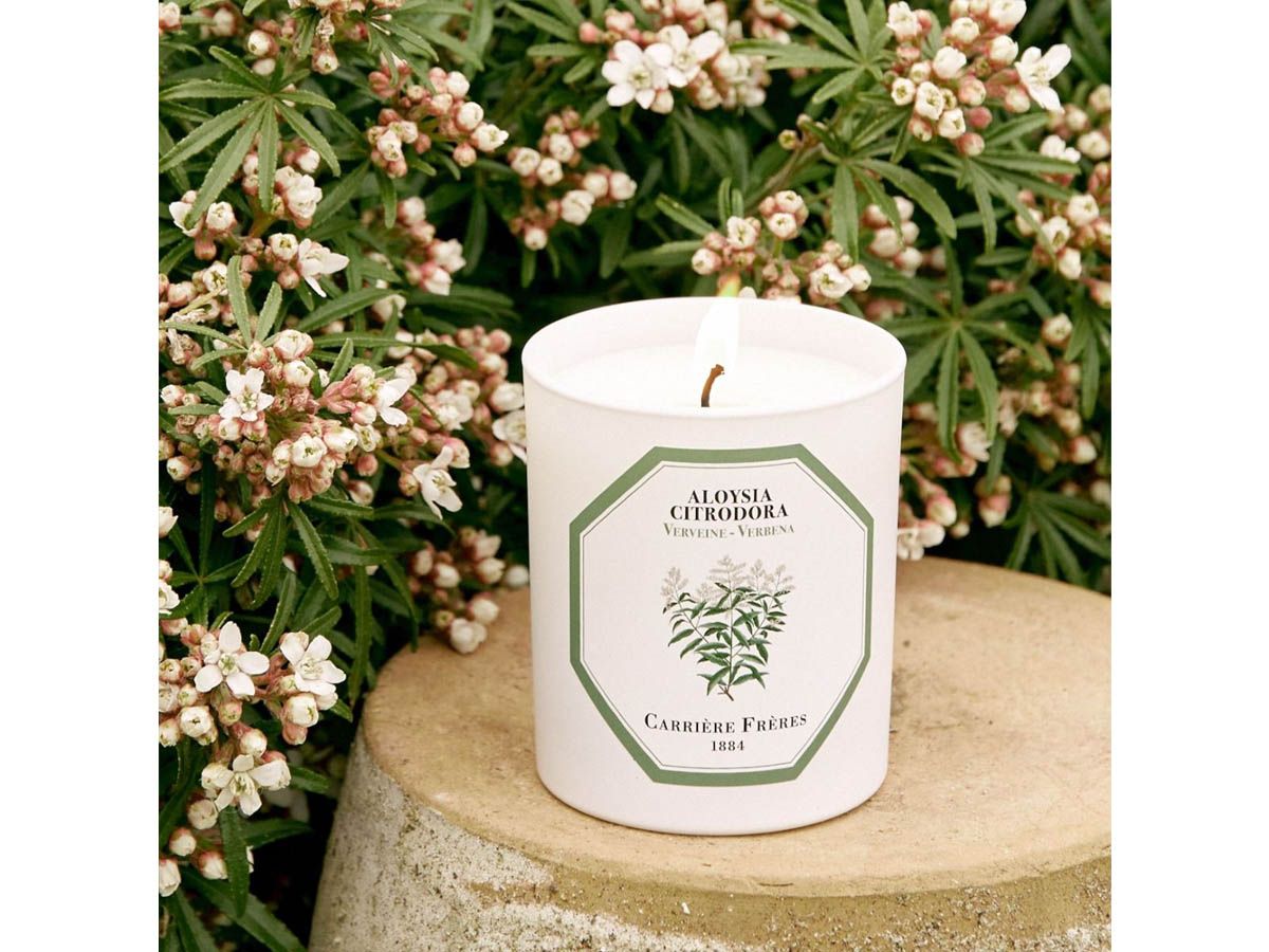 Bougie Parfumée L'Occitane Verveine 3.5 Oz - Parfum Clos De Verveine - Verre - 22h De Combustion