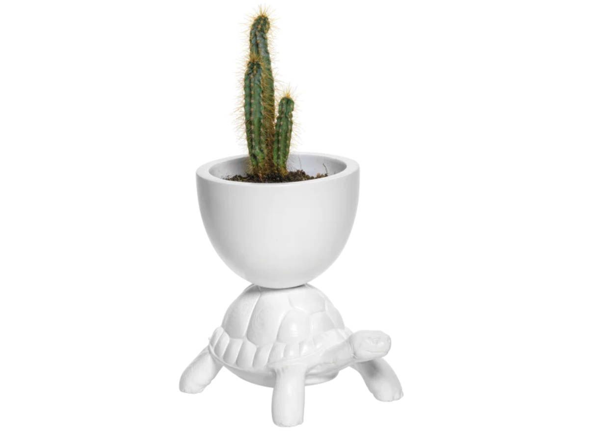 Tortue cache-pot - Qeeboo