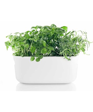 Cache-pot céramique auto-arrosant blanc - Eva Solo