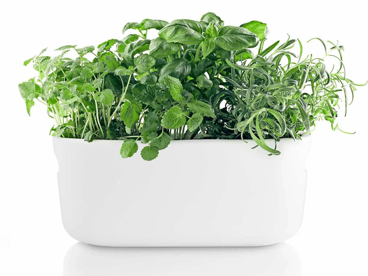 Cache-pot céramique auto-arrosant blanc - Eva Solo