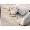 Coussin Noam